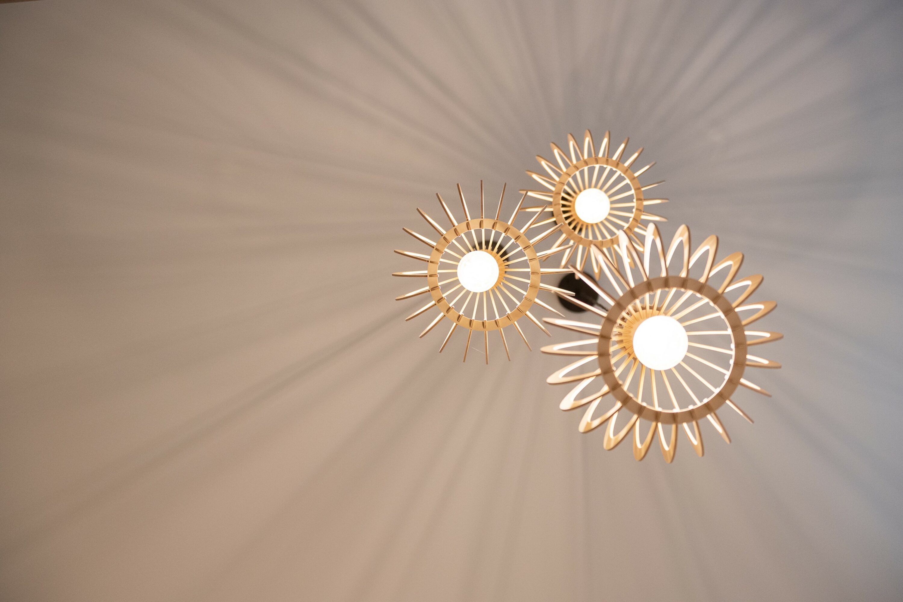 West Coast Dream Homes | Maple Ridge Lighting Project | Exterior Lights | Outdoor lights